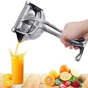 Fruit Press Juicer