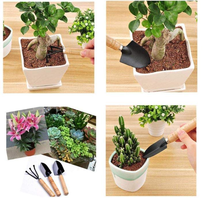 DCELLA Gardening Hand Tool Kit for Home Gardening, Garden Tool Kit for Home, Gardening Equipment, Scraping Turning Soil of Indoor, Outdoor pots, 3 Pcs (Hand Cultivator, Trowel, Transplanter) 4 DCELLA Gardening Hand Tool Kit for Home Gardening, Garden Tool Kit for Home, Gardening Equipment, Scraping Turning Soil of Indoor, Outdoor pots, 3 Pcs (Hand Cultivator, Trowel, Transplanter) - Image 4