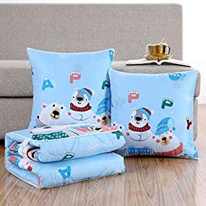 2 In 1 Pillow Blanket