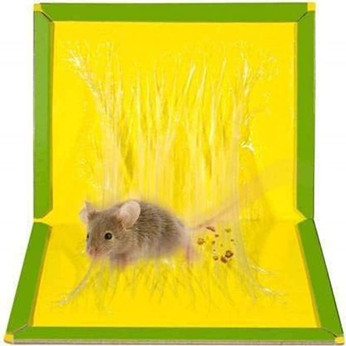 Mouse Glue Pad Insect Rodent Lizard Trap Rat Catcher Adhesive Sticky Glue Pad, Non Poisonous, Non Toxic, Odourless (Yellow) 4 Mouse Glue Pad Insect Rodent Lizard Trap Rat Catcher Adhesive Sticky Glue Pad, Non Poisonous, Non Toxic, Odourless (Yellow) - Image 4