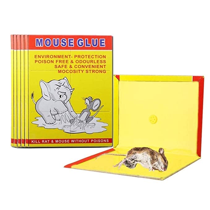Mouse Glue Pad Insect Rodent Lizard Trap Rat Catcher Adhesive Sticky Glue Pad, Non Poisonous, Non Toxic, Odourless (Yellow) 1 Mouse glue pad