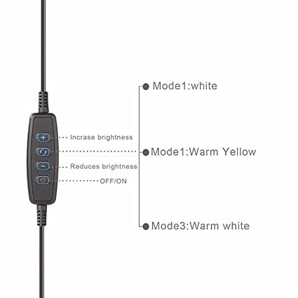 Dyazo 10 Inch LED Ring Light with 3 Level Brightness Dimmable Lighting for Vlogging , You Tube Video , Photo Shoot Live Streaming & Makeup Compatible with All Smart Phones & Cameras 3 Dyazo 10 Inch LED Ring Light with 3 Level Brightness Dimmable Lighting for Vlogging , You Tube Video , Photo Shoot Live Streaming & Makeup Compatible with All Smart Phones & Cameras - Image 3